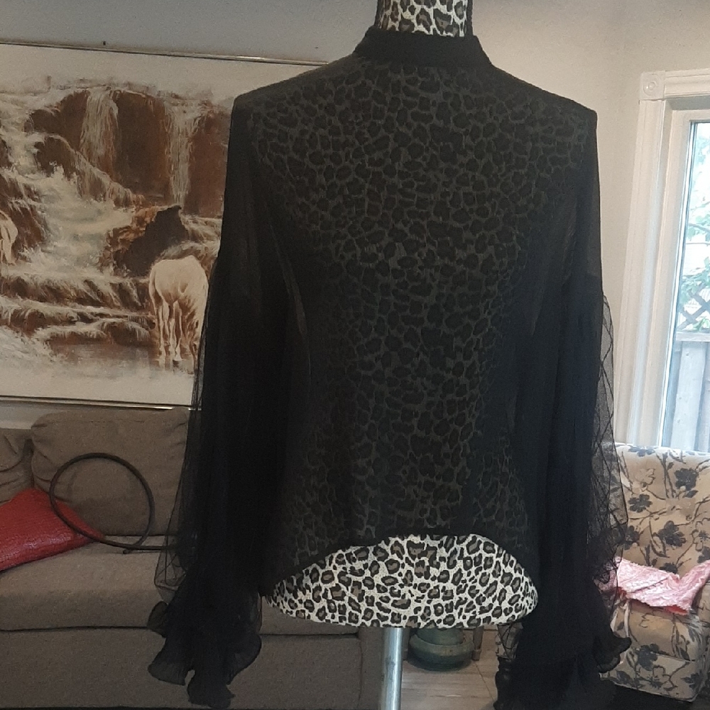 Elegant Black Sheer Top
